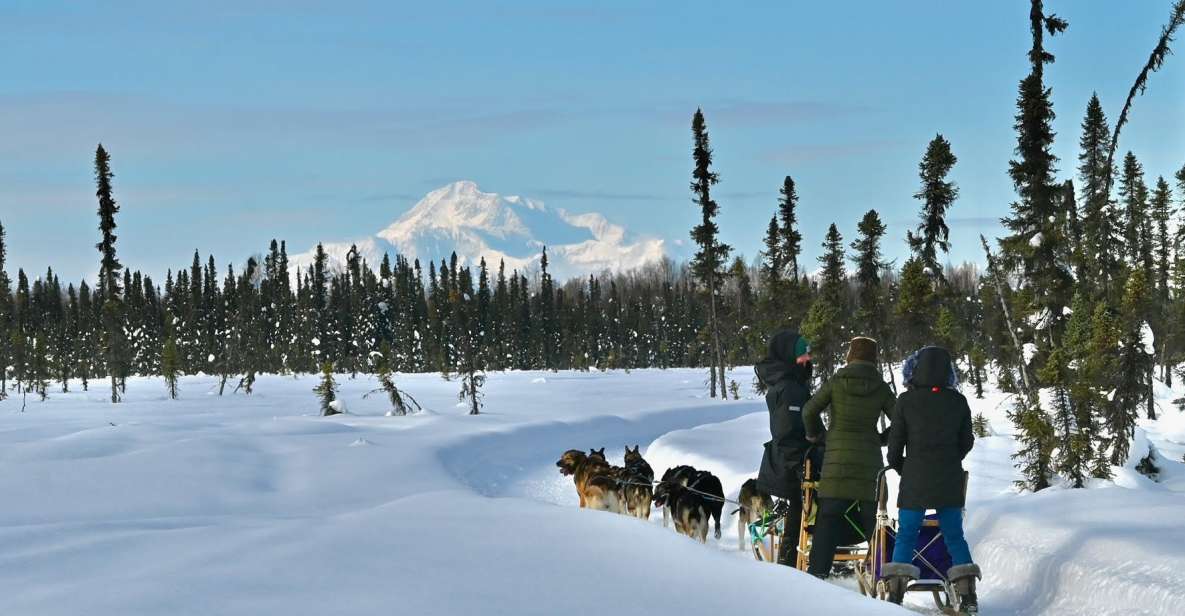 Talkeetna: Winter Dog Sled Tour Morning or Night Mush! - Cancellation Policy and Inclusions