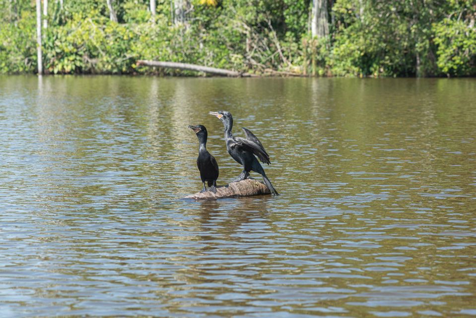 Tambopata Tour 4 Days - English-speaking Guides