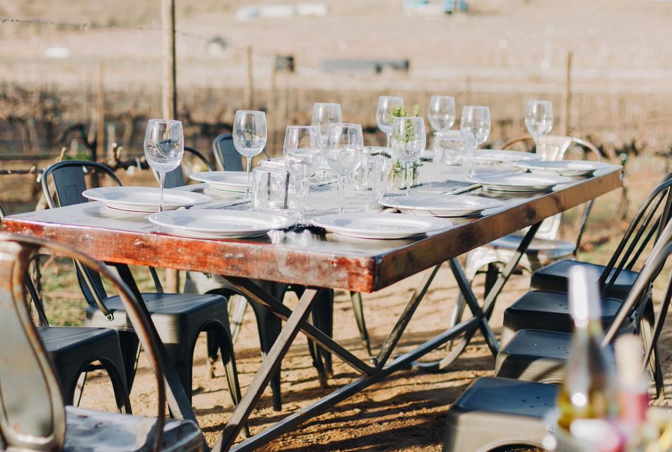 Tasting and Tour Through the Vineyard - Preparing for the Tour