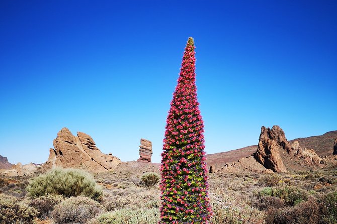 Teide National Park for Smaller Groups - Roques De Garcia Viewpoint