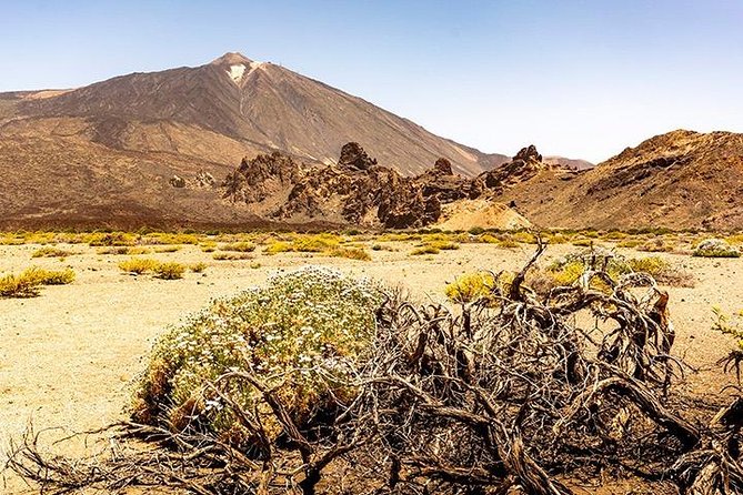 Tenerife Highlights Full-Day Tour - Air-conditioned Coach Transport