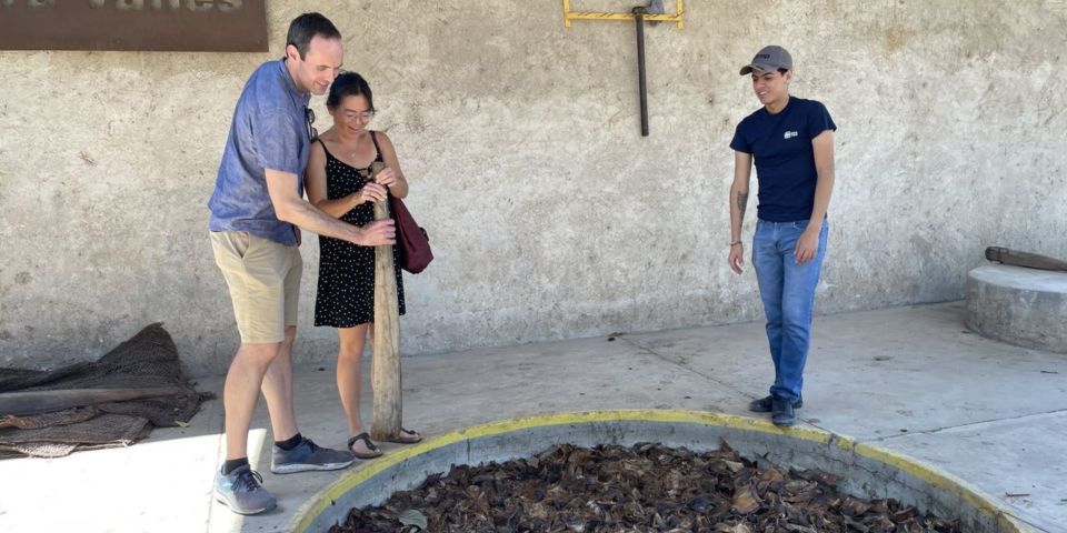 Tequila and Guachimontones in One Day! - Tequila Distillery Tour