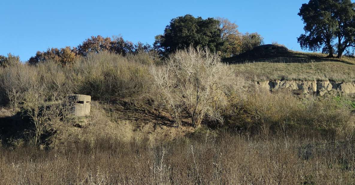 The Battle of Malpasso: Behind the Scenes of the 2 World War - Pickup and Group Size