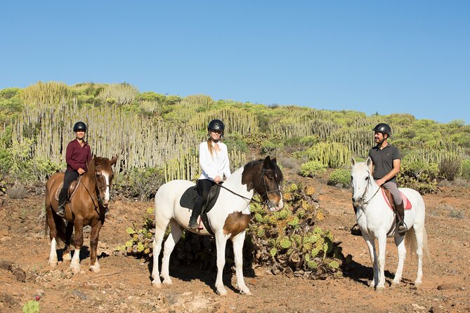 The Best Horse Riding Experience in Gran Canaria (2 Hours) - Highly Rated by Travelers