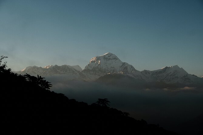 The Best of Nepal : 5-Day Trek to Ghorepani Poon Hill & Ghandruk - Expert Guide and Support