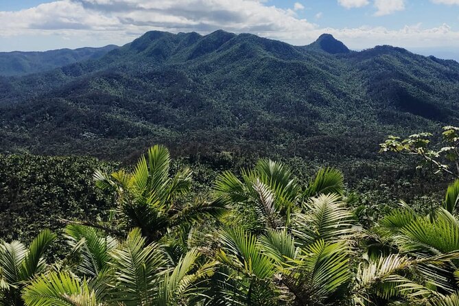 The El Yunque Rainforest, Waterslides, and Beach Tour With Transport - Booking and Confirmation