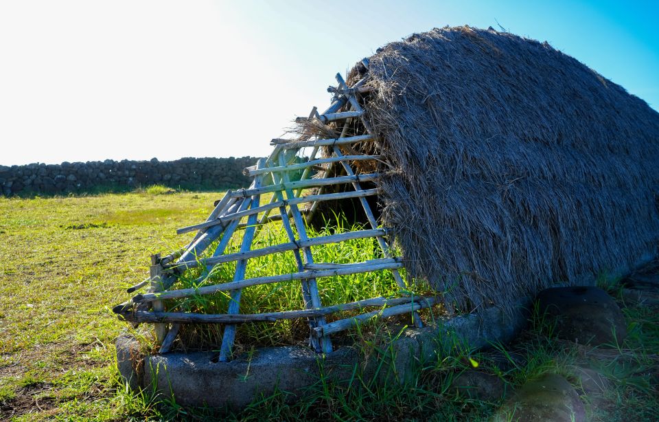 The Moai Factory: the Mystery Behind the Volcanic Stone Stat - Marveling at Ahu Tongariki