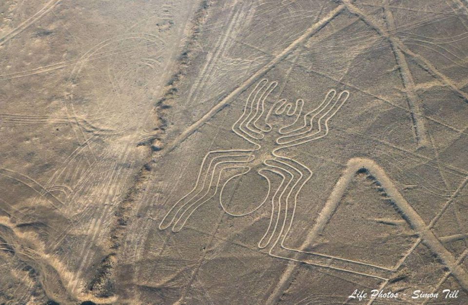 The Nazca Lines & Buggy at Huacachina Oasis - Full Day - Included Tour Highlights