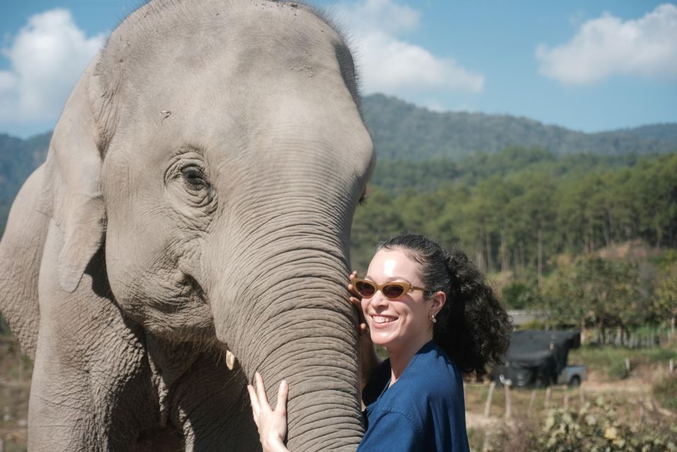 The Ultimate Elephant Experience and Coffee Workshop - Inclusions