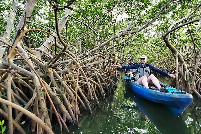 Thousand Island Mangrove Tunnel, Manatee & Dolphin Kayak Tour W/Cocoa Kayaking - Additional Information