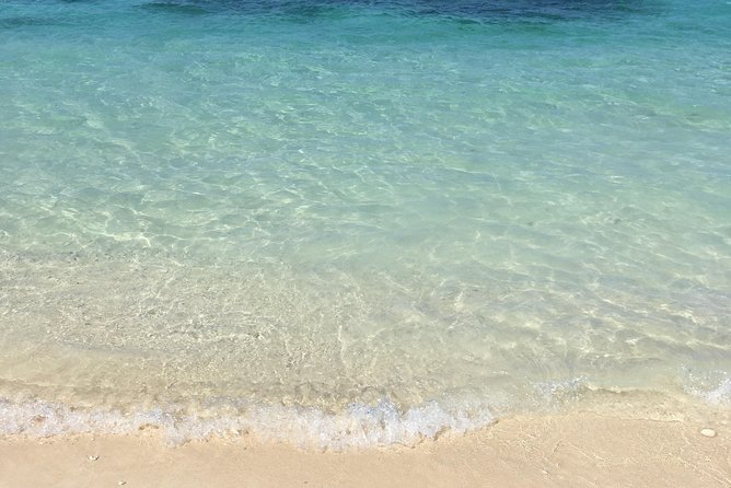 Three Island Boat Tour (incl. Rose Island): Snorkeling & Pigs - Sail to Rose Island