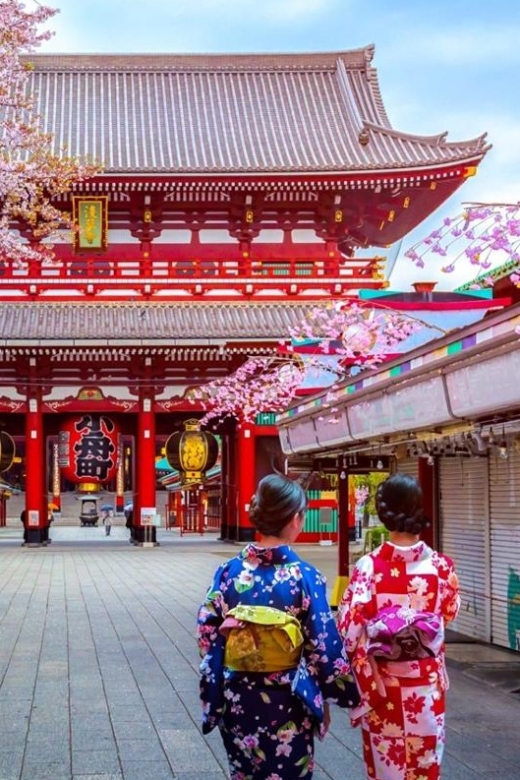 Tokyo: Full Day Private Walking Tour With a Guide - Ueno District Discovery