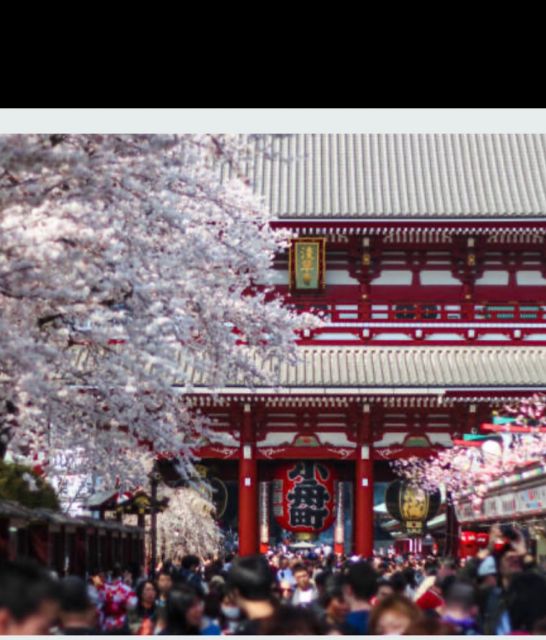 Tokyo Private Tour: Customizable (Up-To 6 Persons) - Inclusions