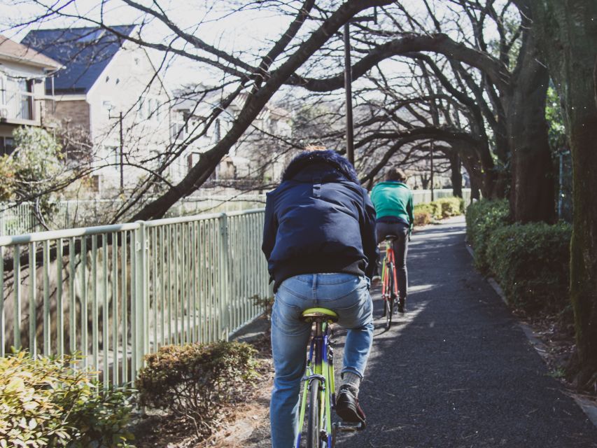 Tokyo: Private West Side Vintage Road Bike Tour - Pace and Distance