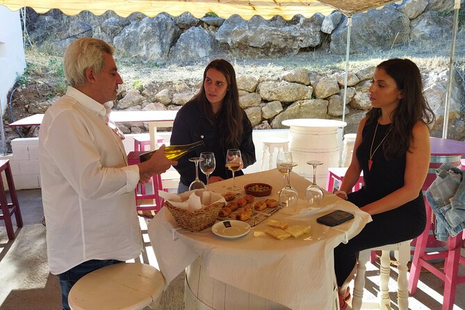 TOP WINE TOUR- Vineyard & Cellar Visit + 6 TOP Wines + Tapas - Tasting of Top Wines