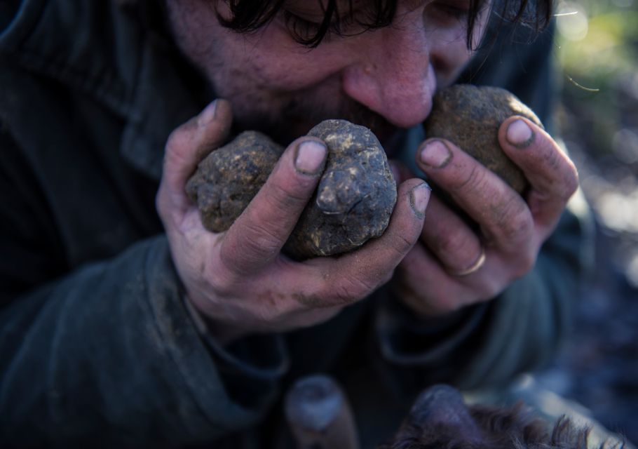 Toscana: Truffle Hunting and Tasting - Additional Information and Policies