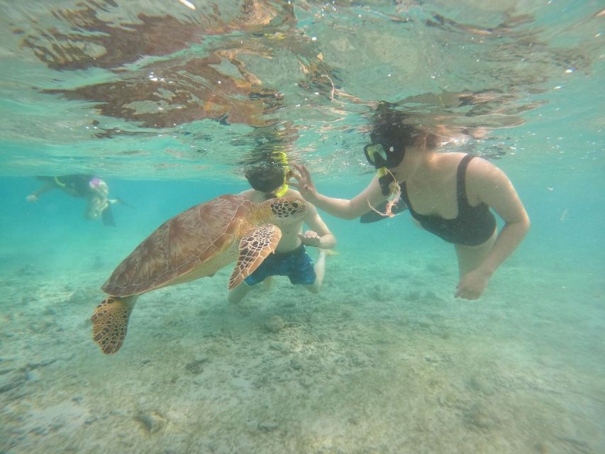 Tour Gili Islands : Private Snorkeling Trip 4 Hours - Experience Highlights