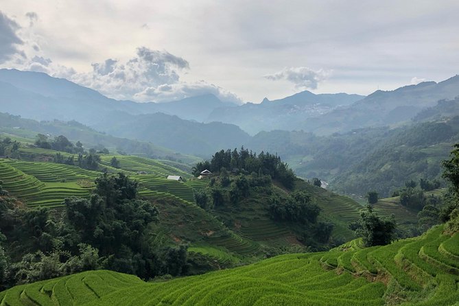Trekking Sapa 1 Day - the Best Terraced Rice Field - Restrictions and Requirements