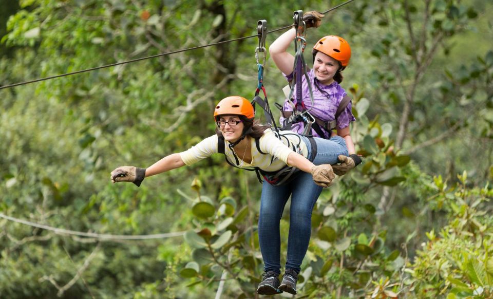 Triple Adventure; Buggies, Waterfalls and Ziplines - Fantastic Flora Views