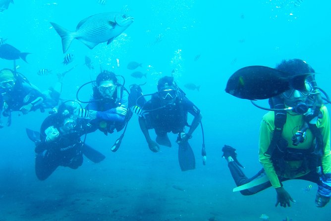 Tulamben Diving USS Liberty Shipwreck Scuba Dive - Physical Fitness Requirements