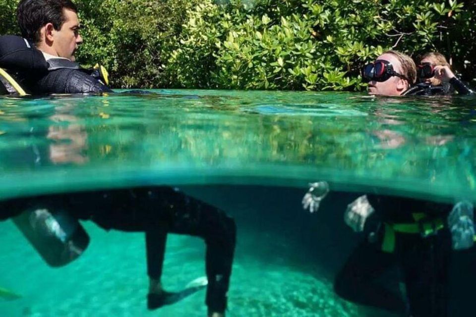 Tulum: Wonders of the Underwater World Discover Scuba Diving - Unsuitable Participants