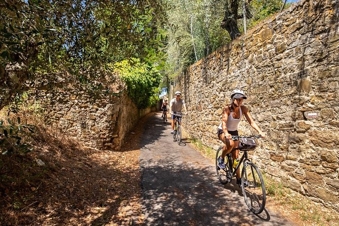 Tuscan Country Bike Tour With Wine and Olive Oil Tastings - Professional Guide and Touring Bike Provided