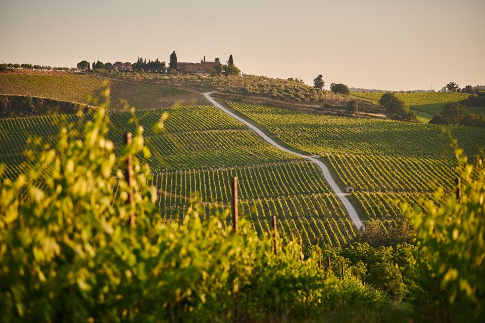 Tuscany: Chianti Wine Paradise Tour - Enjoy Breathtaking Chianti Hills Vistas