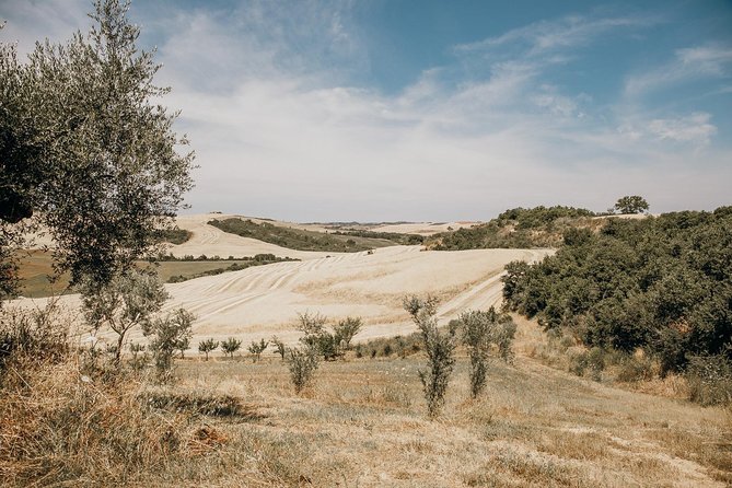 Tuscany From Rome With Winery Lunch & Medieval Towns - Tuscan Winery Tour