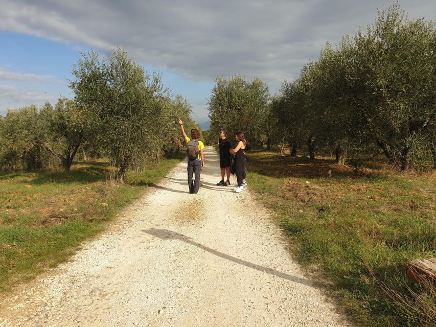 Tuscany Hills Bike Tour With Lunch at Farm and Wine Tasting - Winery and Lunch