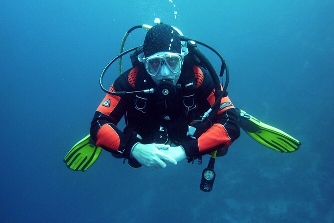 Two Morning Dives in Gozo for Certified Diver - Small-Group Dive With Experienced Guide