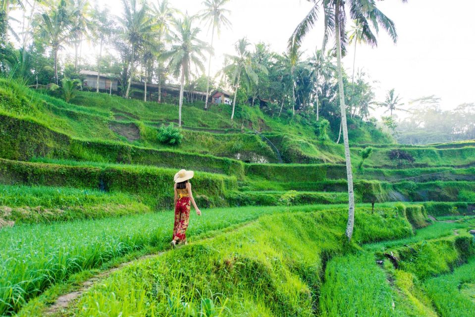 Ubud: Best of Waterfall Tour and Rice Terrace - Rice Terrace Experience