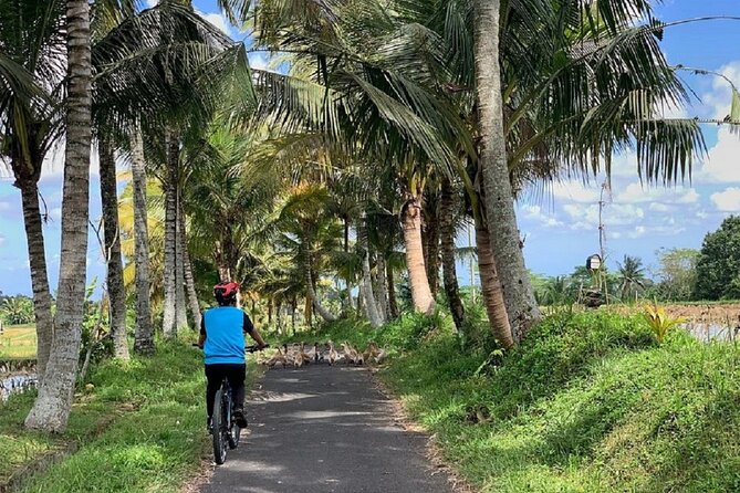 Ubud: Downhill Cycling With Volcano, Rice Terraces and Meal - Confirmation and Accessibility
