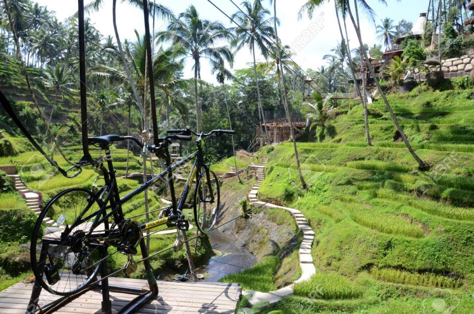 Ubud: Sky Bike Adventure, Swing & Rice Terrace With Transfer - Restrictions