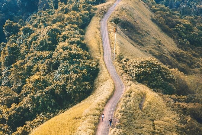 Ubud Tour With Sacred Monkey Forest Sanctuary - Waterfall - Rice Terrace - Scenic Rice Terrace