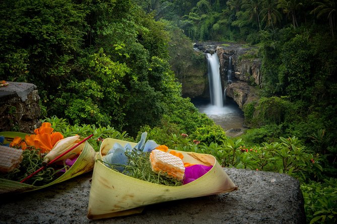 Ubud Tour With Swing, Temple, Monkey Forest, and Waterfall - Tegalalang Rice Terrace Tour