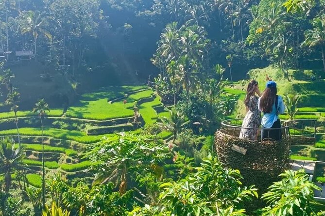 Ubud : Waterfall, Temple & Rice Terrace Guided Tour - Accessibility and Requirements