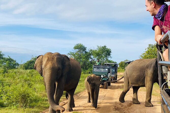 Udawalawe National Park Half Day Jeep Safari (Private Tour) - Pricing Information