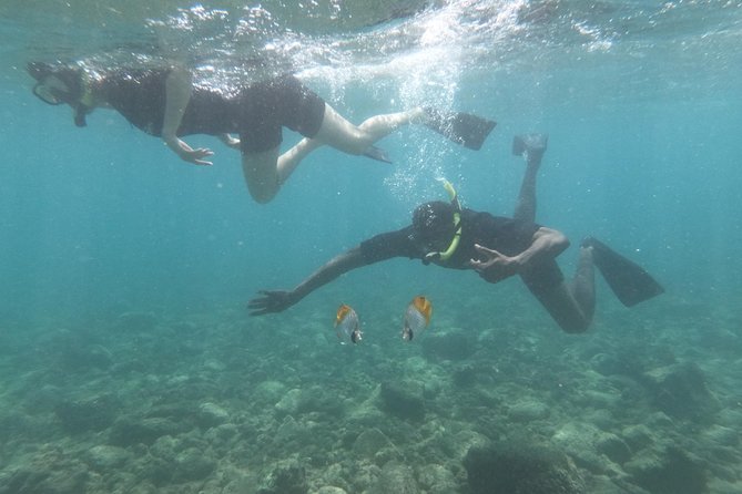 Ultimate Shore Snorkeling Adventure on Kauai - Booking Information