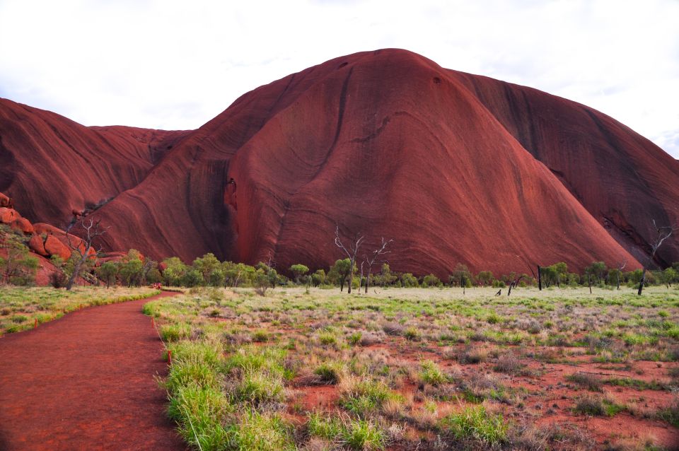 Uluru: Sacred Sites & Sunset Tour With Wine & Cheeseboard - Experience Highlights