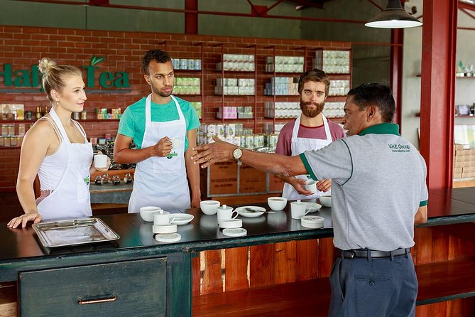 Uva Halpewatte Tea Factory Tour in Ella Sri Lanka - Cancellation and Refund Policy