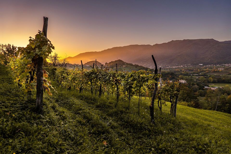 Valdobbiadene: Private Prosecco Tour & Tasting With a Sommelier - UNESCO World Heritage Site