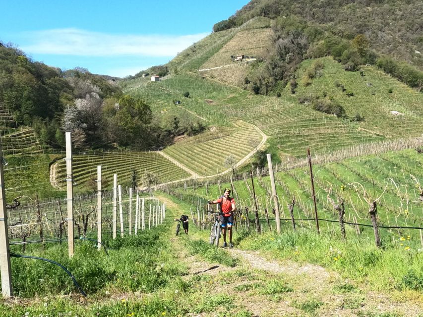 Valdobbiadene - Prosecco Hills Cycling With Sommelier - Safety Gear and Latest Model E-Bikes