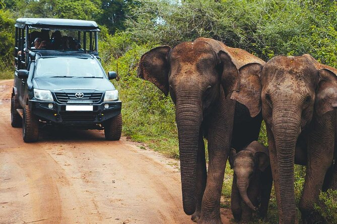 VALUE PACK! One Day Safari Tour to Yala and Udawalawe - Private & All Inclusive - Tour Highlights