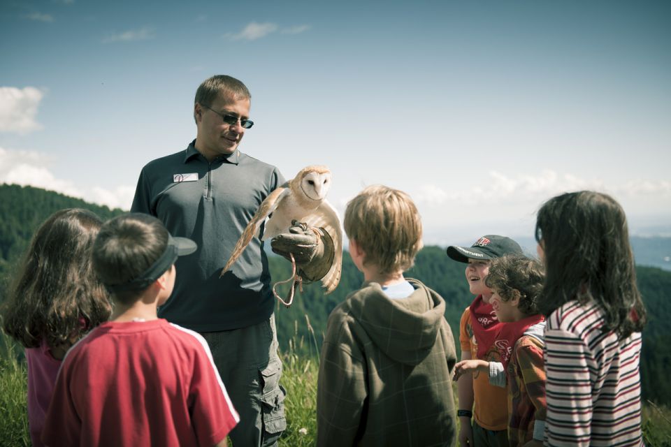 Vancouver: Grouse Mountain Express Tour With Skyride - Exhilarating Activities