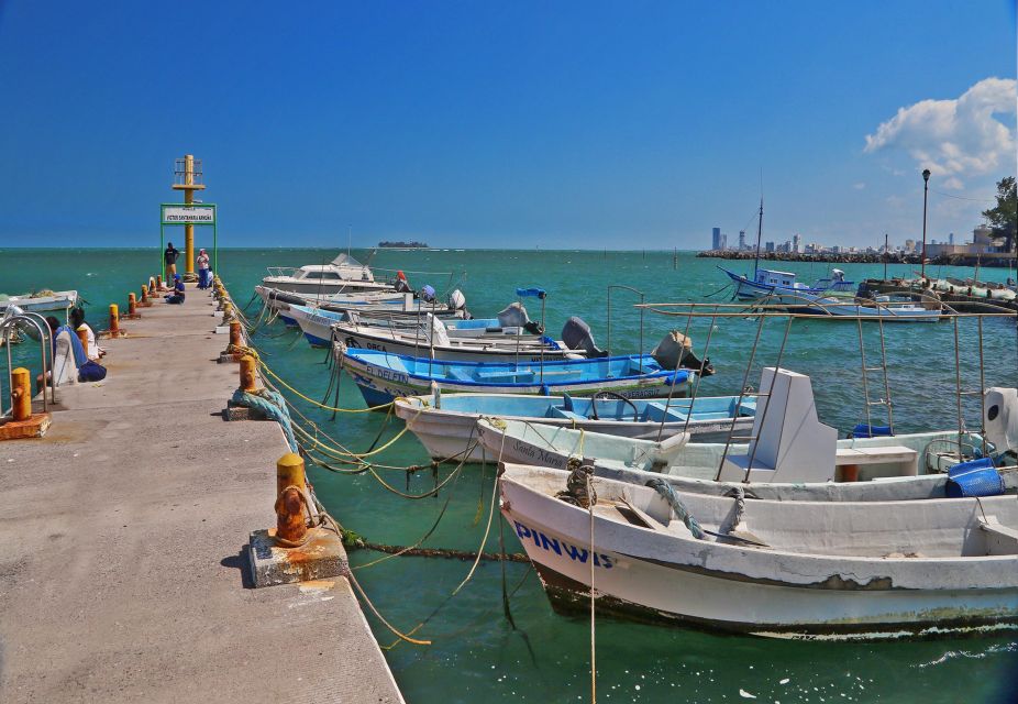 Veracruz: Hop-On Hop-Off Double-Decker Bus Tour - Included in the Tour