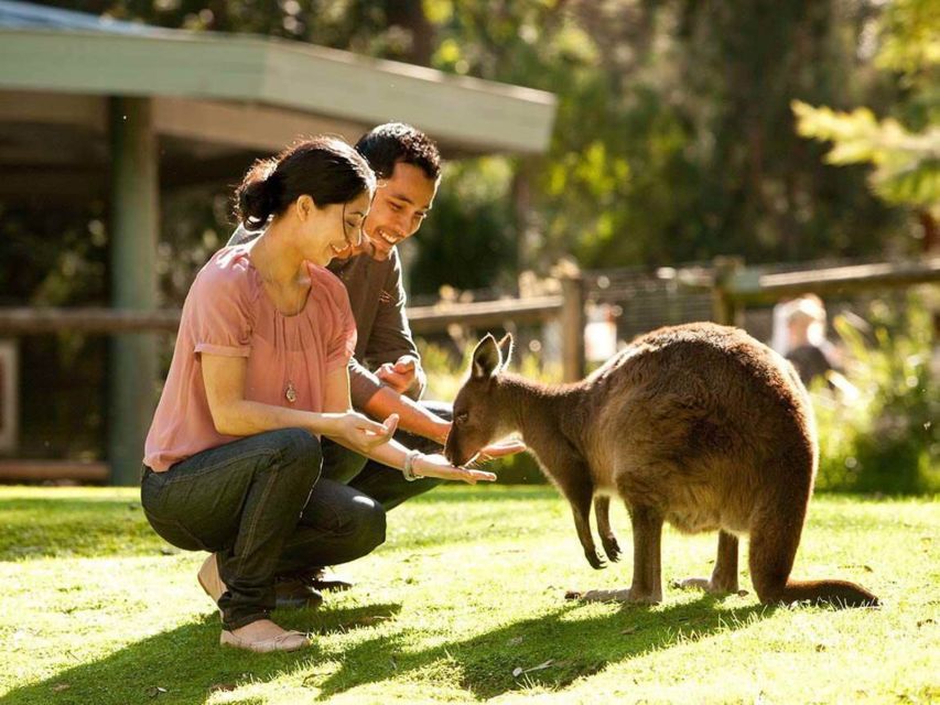 Very Best of Perth - Wildlife Park & City Highlights Tour - Directions