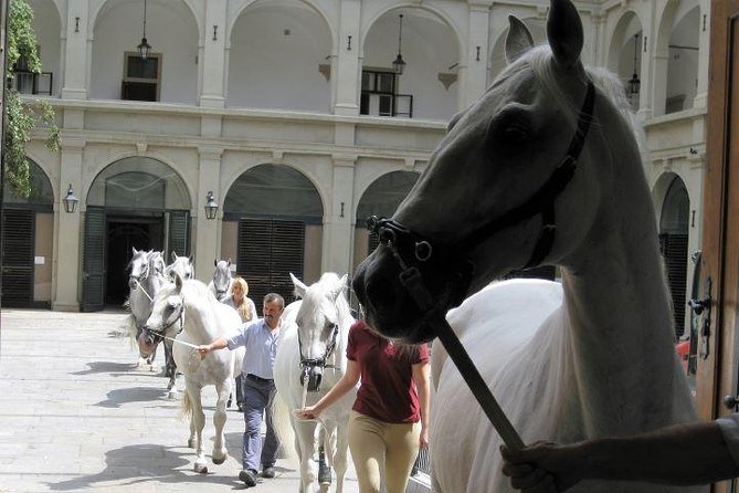 Vienna at First Glance a Private Walking Tour for First Timers - Inclusions and Features