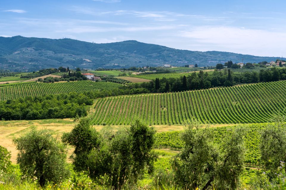 Vinci: The Footsteps of Leonardo and Wine Tasting Tour - Exploring the Da Vinci Countryside