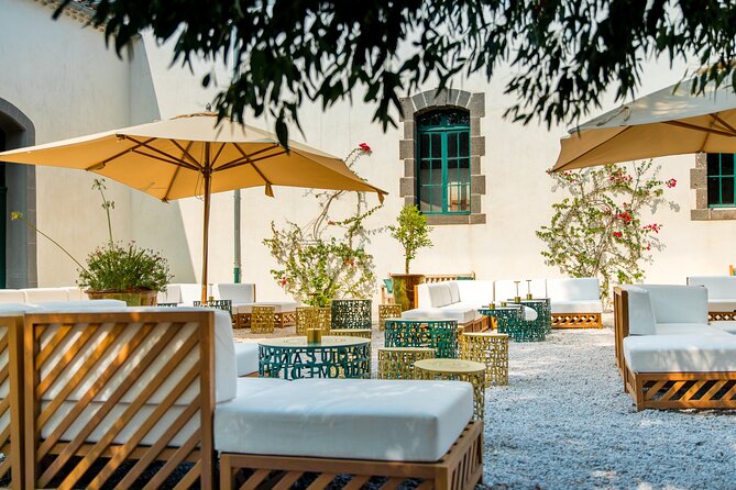VIP Tour of the Cellars and Wine and Vermouth Tastings - Guided Tour of Wine Production