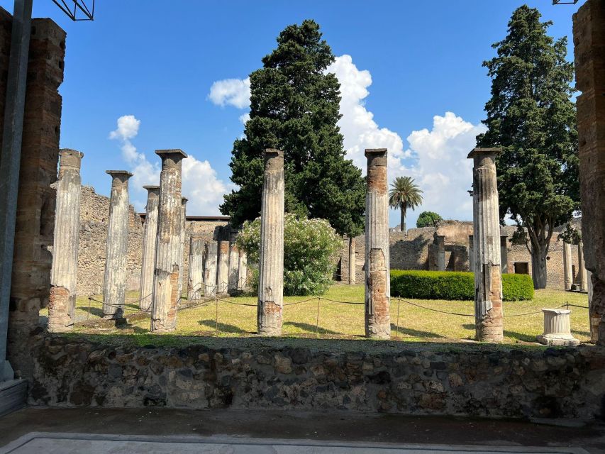 Visit the Pompeii Excavations From Positano - Restrictions and Requirements